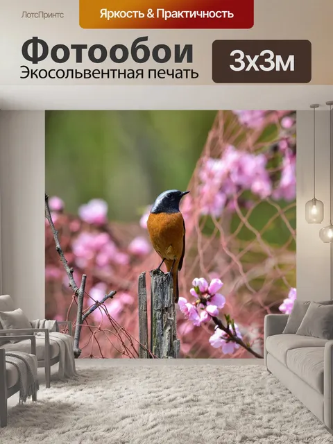 Фотообои Животное