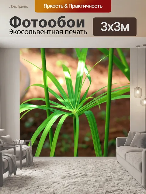 Фотообои Сад