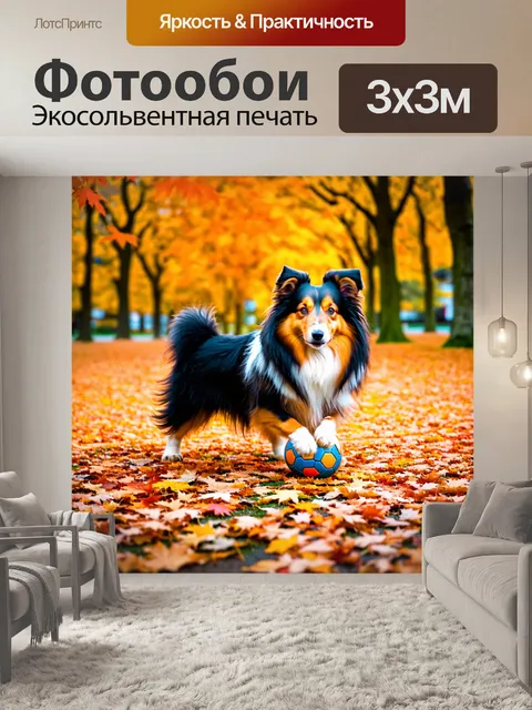 Фотообои шелти, играющий с мячом в осеннем парке, где листья разноцветными коврами укрывают землю