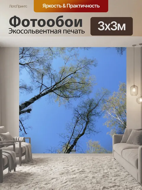 Фотообои Лес