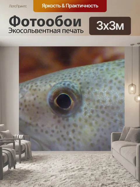 Фотообои Рыбий глаз