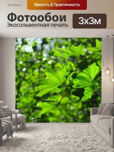 Фотообои Листья