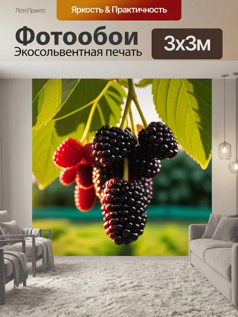Фотообои шелковица в саду во время заката