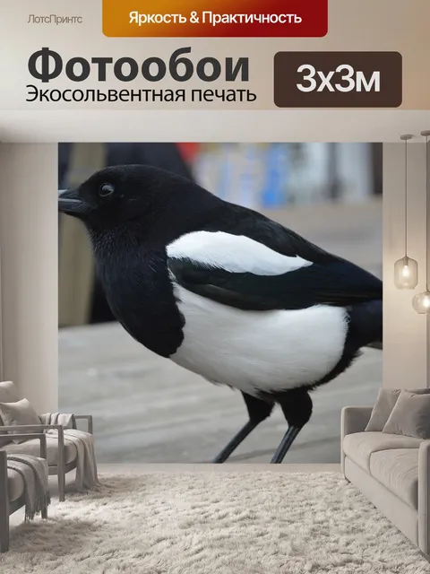 Фотообои Сорока