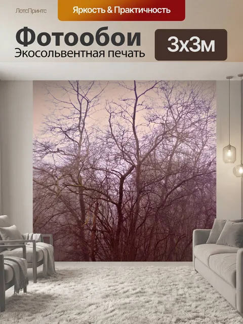 Фотообои Темный