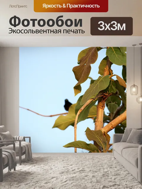 Фотообои Дикое дерево листья