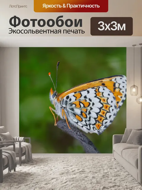 Фотообои Бабочка