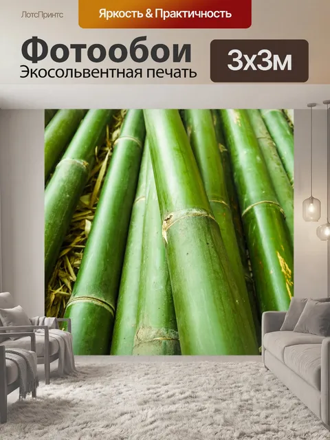 Фотообои Бамбуковый лес природа фон