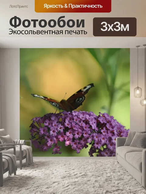Фотообои Цветок