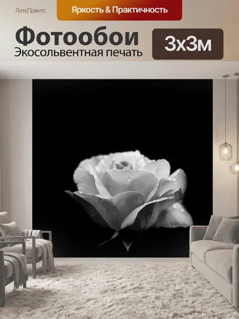 Фотообои Роза
