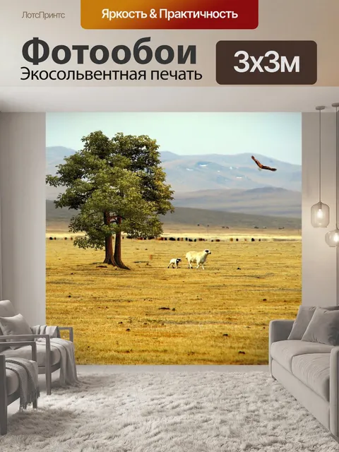 Фотообои Прерия