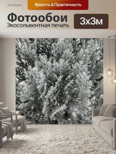 Фотообои Природа