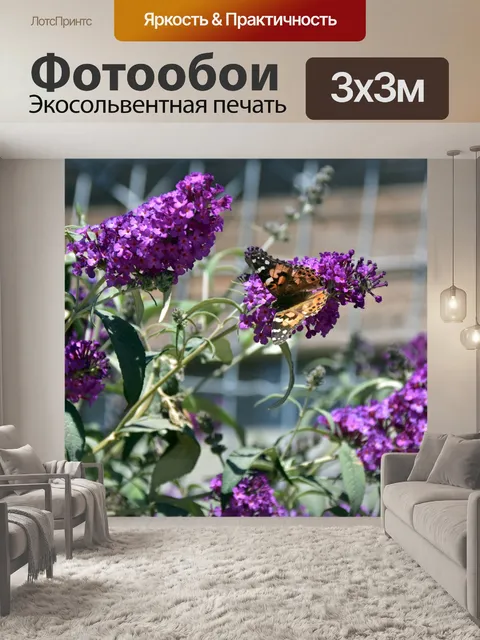 Фотообои бабочка на лаванде