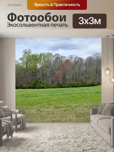 Фотообои Деревья в весеннее время