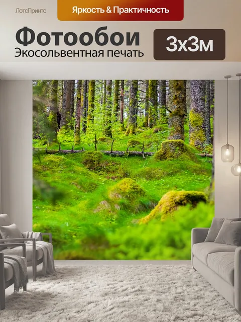 Фотообои Лес