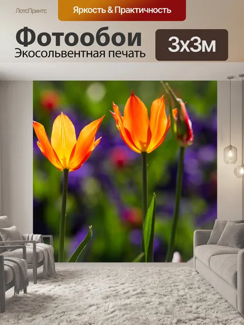Фотообои Тюльпаны