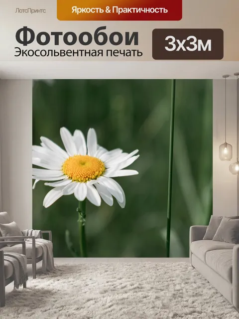 Фотообои Цветы