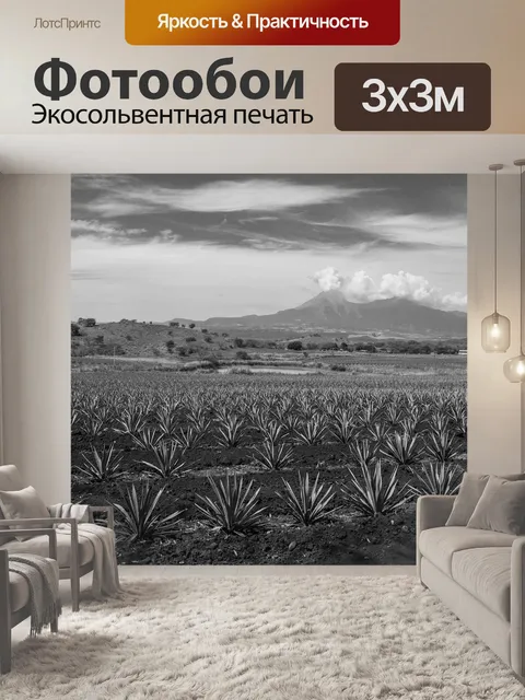 Фотообои Черное и белое
