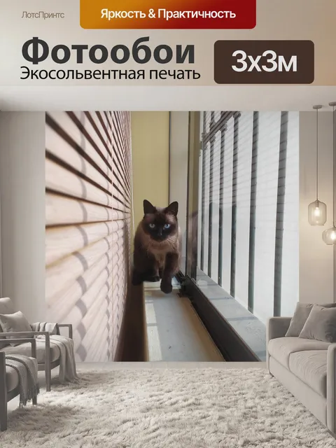Фотообои Кошка
