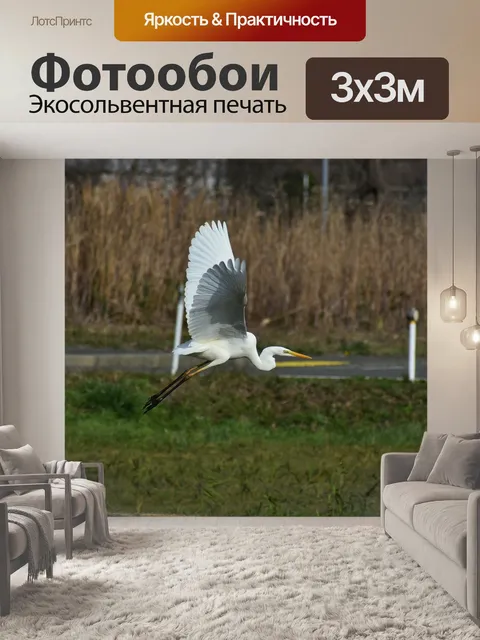 Фотообои Животное