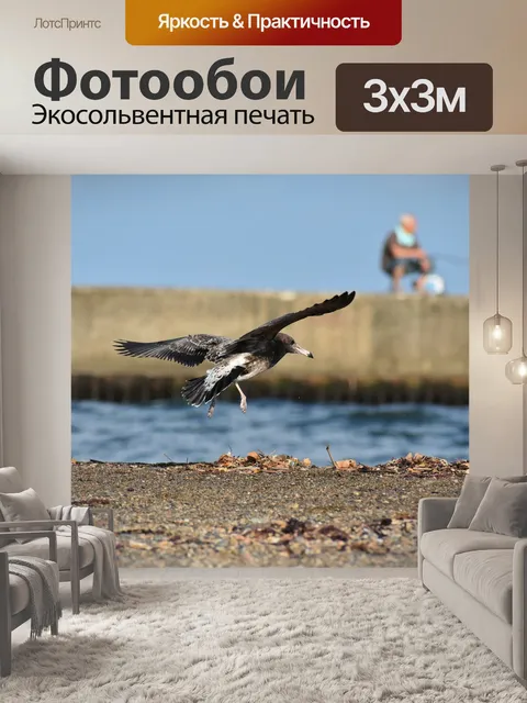 Фотообои Животное