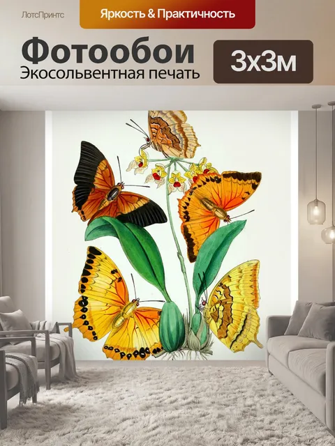 Фотообои Бабочки цветы старинные старые