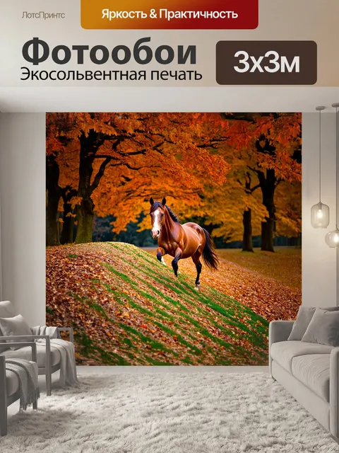 Фотообои лошадь скатится по холму на пастбище