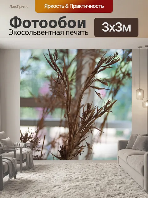 Фотообои сухой травы расположение