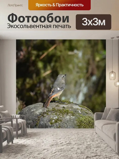 Фотообои Животное