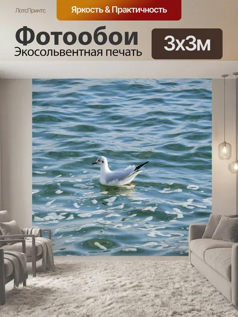 Фотообои Смеющаяся чайка