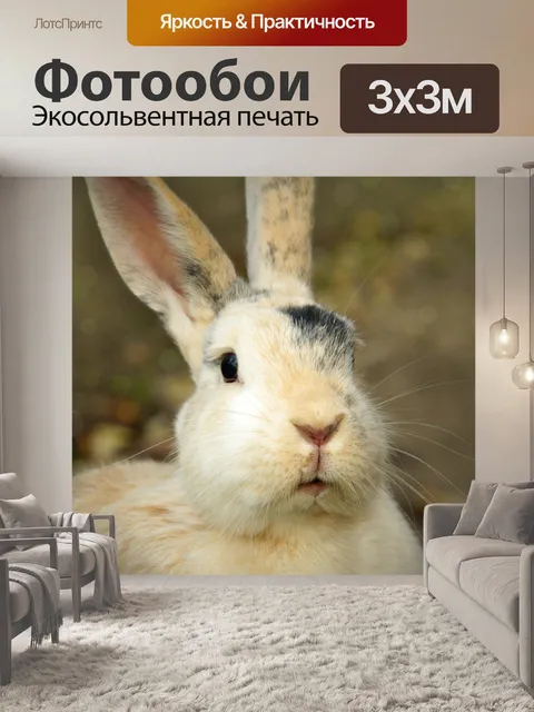 Фотообои Зайчик кролик зайчик пасха