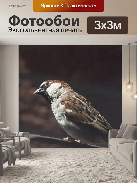 Фотообои Воробей