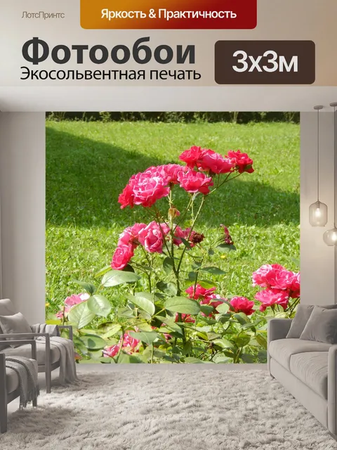 Фотообои Природа