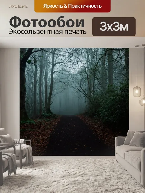 Фотообои туман в стиле готический: тайная тропа к загадочному источнику, скрытая в густом тумане и тенях деревьев