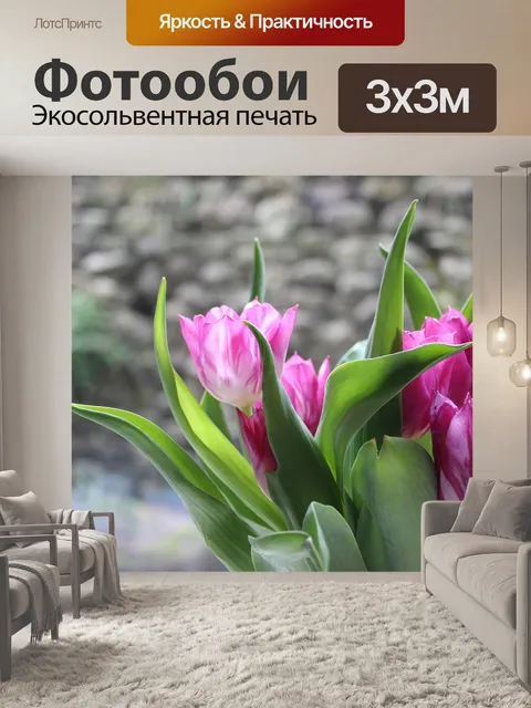 Фотообои Тюльпаны