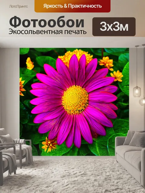 Фотообои цветы в стиле диаграммный рисунок, сложные узоры, яркие текстуры, исследование цвета, динамичные формы