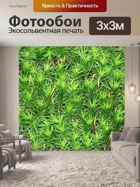 Фотообои Мох