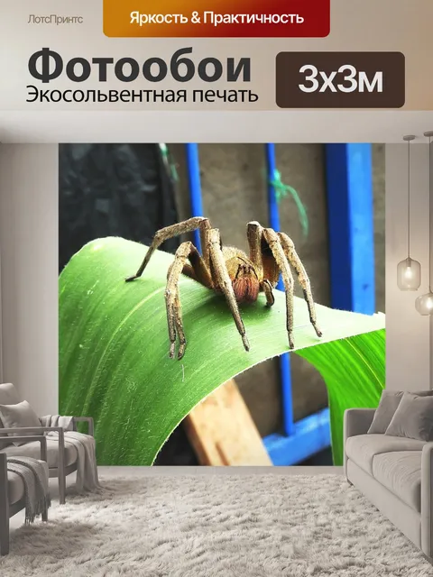 Фотообои Природа