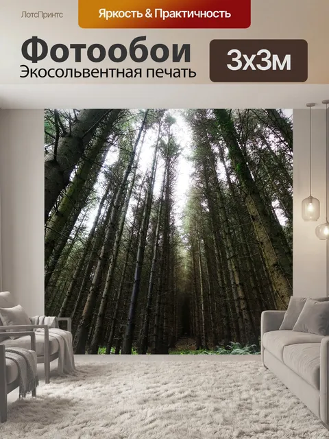 Фотообои Деревья