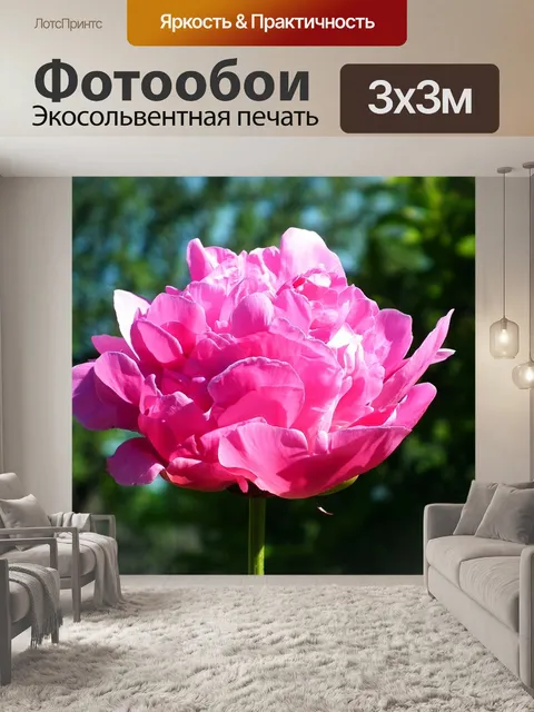 Фотообои Природа