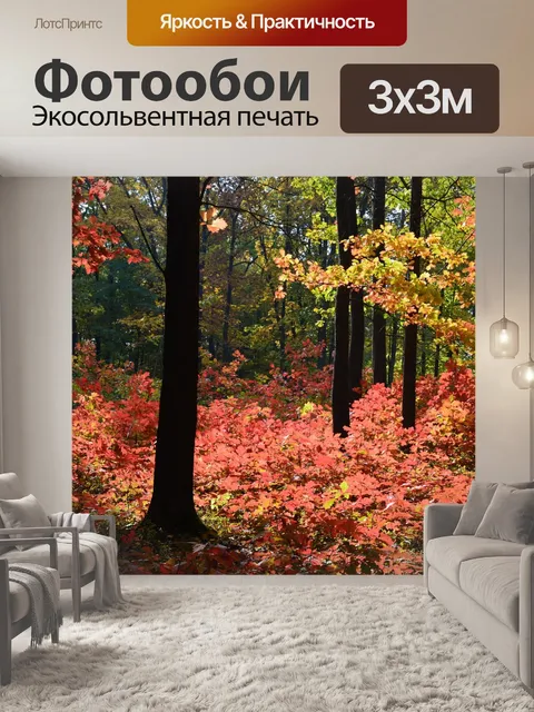 Фотообои Лес