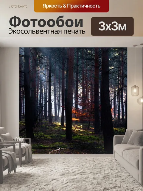 Фотообои Лес