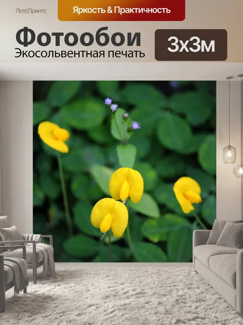 Фотообои желтые цветы