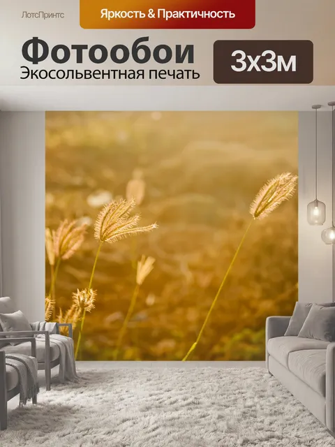 Фотообои Поля