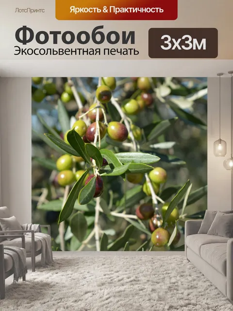 Фотообои Оливки