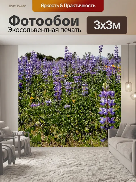 Фотообои Фиолетовый Полевые цветы