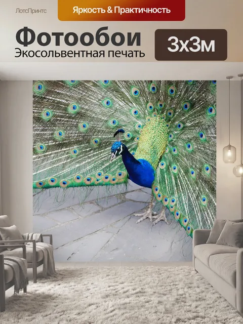 Фотообои Павлин показывающие перьев