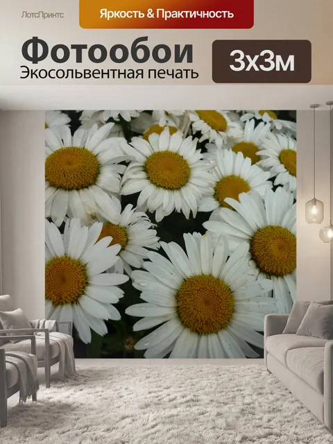 Фотообои Ромашки
