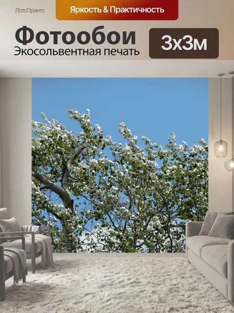 Фотообои Листья