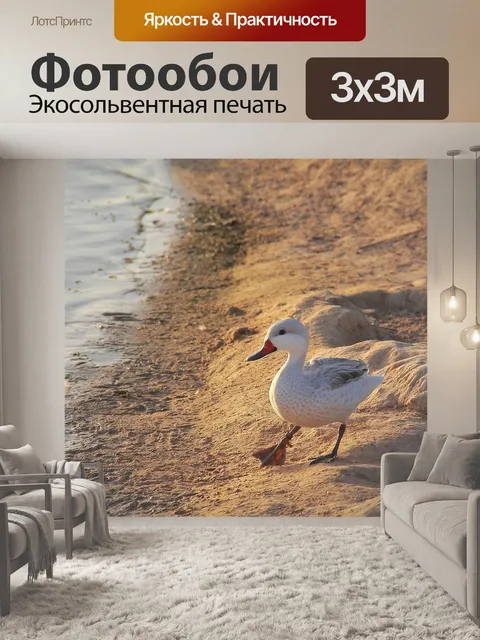 Фотообои Птица